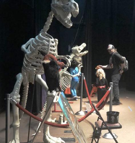 Dinosaur Skeleton Decorations - Great as a Photo Op!